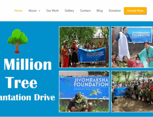 Website Development for NGO