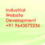 Industrial Website Development