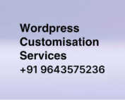Wordpress customization services gurgaon India