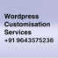 Wordpress customization services gurgaon India