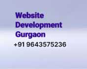 Wordpress development services gurgaon