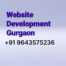 Wordpress development services gurgaon